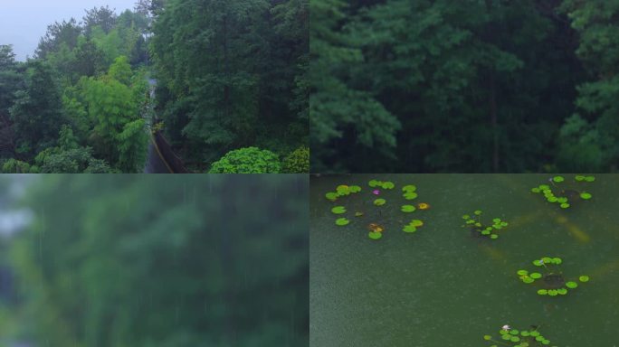 湖南雨季梅雨季节连续暴雨天气合集