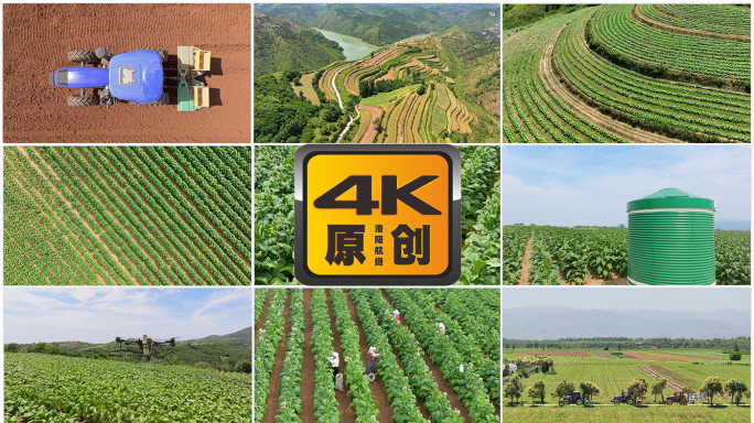 耕地 播种 覆膜 除草
