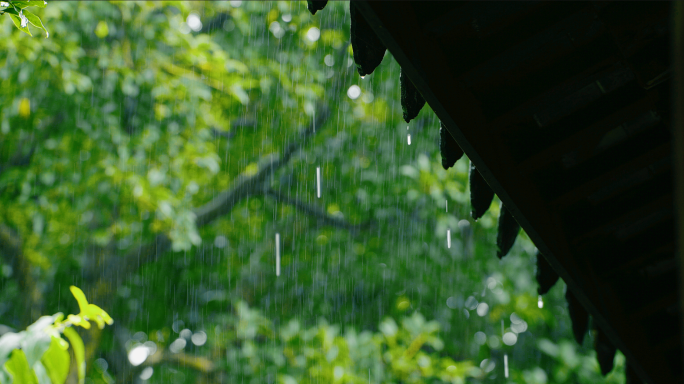 雨下雨意境屋檐水滴禅意春雨雨景东方美学