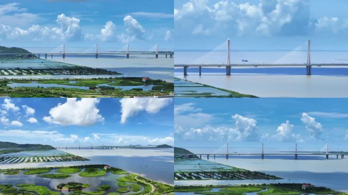 金海大桥