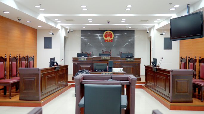 法院法庭法律审判宣判正义违法