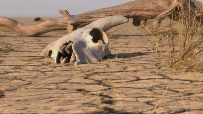 宽屏超宽屏土地大地地面干旱干裂裂缝裂开