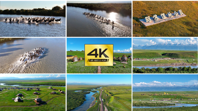 天马浴河慢动作 昭苏湿地公园 特克斯河