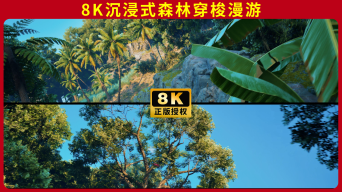 森林树林森林沉浸式穿梭漫游vr舞台背景