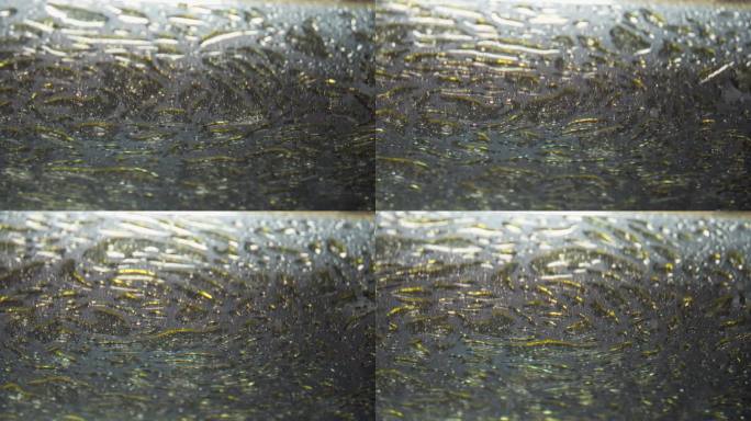 黄橙红色光滑的液体油图案与细颗粒旋转