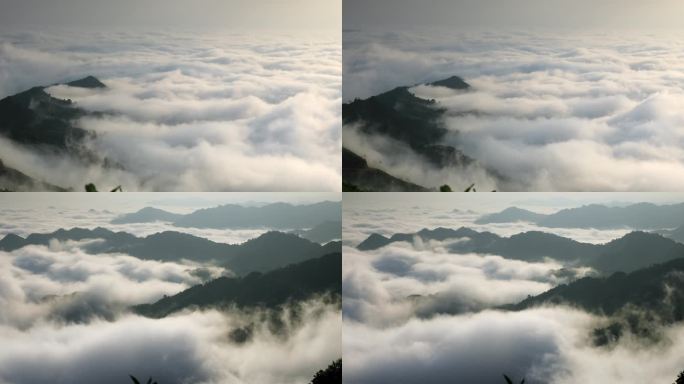 热带森林云海晨雾缭绕