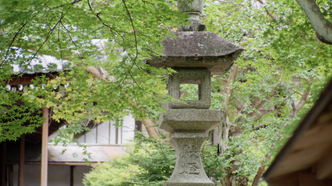 绿意盎然的寺庙 佛寺 日本神社