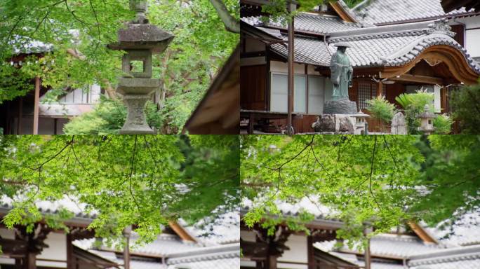 绿意盎然的寺庙 佛寺 日本神社