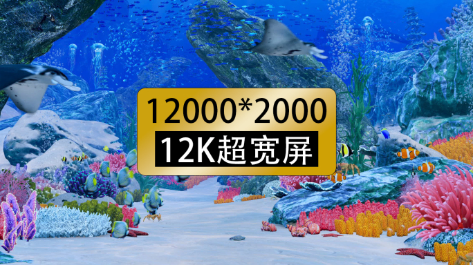 12k沉浸式超宽屏海底世界海底穿越