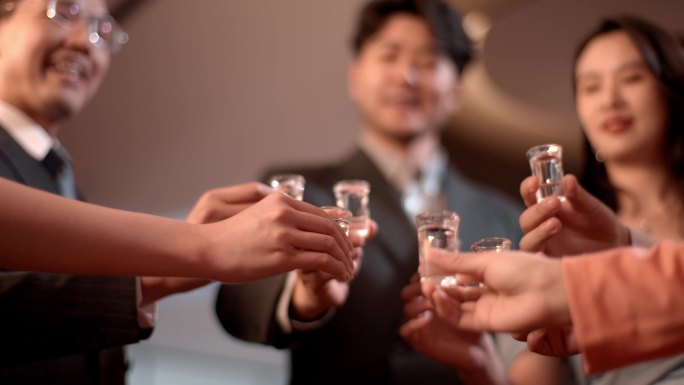 高端酒会商务宴请一同举杯庆祝