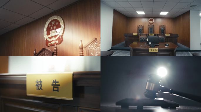 法官 法律 诉讼 审判 法庭 律师 判决