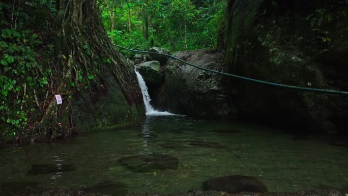 流水在菲律宾的丛林中倾泻而下。阴天在森林景观中随浮水入湖。空中特写。