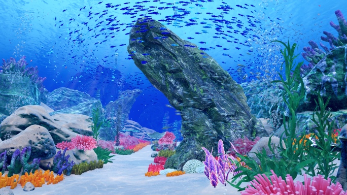 8k超宽屏沉浸式海底世界海底穿越