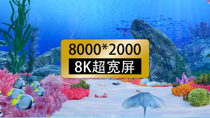 8k超宽屏沉浸式海底世界海底穿越