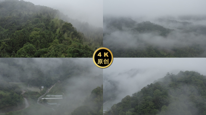 山间迷雾