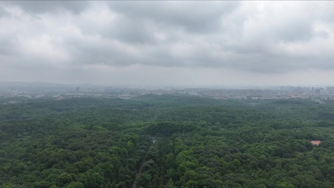 南京中山陵，文旅宣传，城市风光，历史记录
