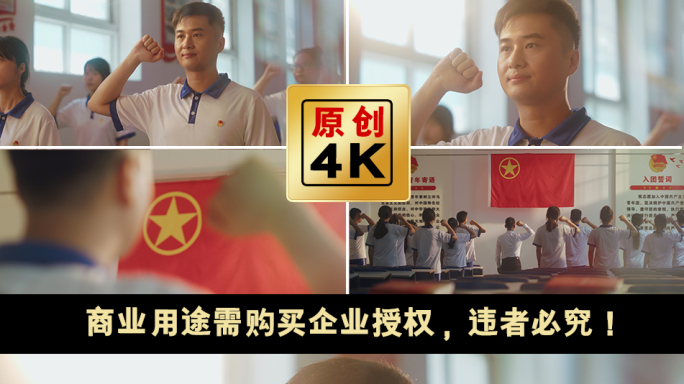 共青团五四团旗入团志愿书学习入团宣誓