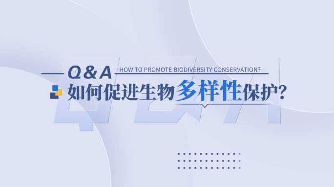 高端访谈提问采访问题字幕 LOGO转场版
