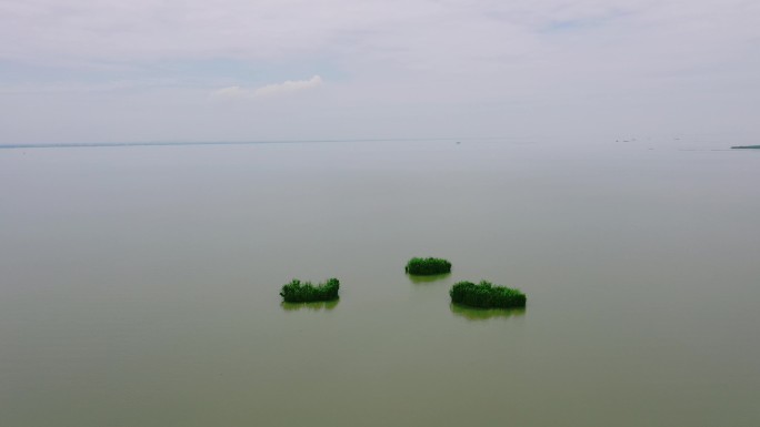 滆湖西太湖宜兴段湖中三个小岛样的芦苇丛