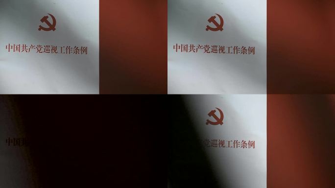 【有版权】中国共产党巡视工作条例