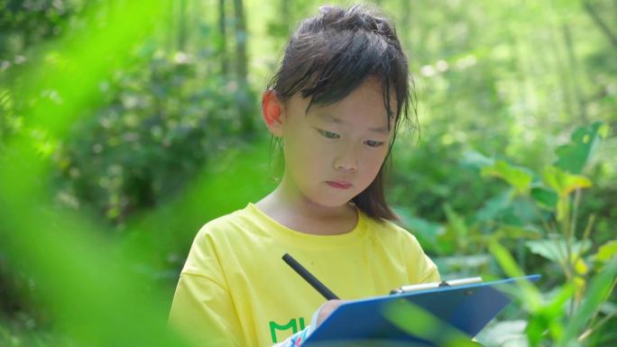孩子们探索大自然 户外研学