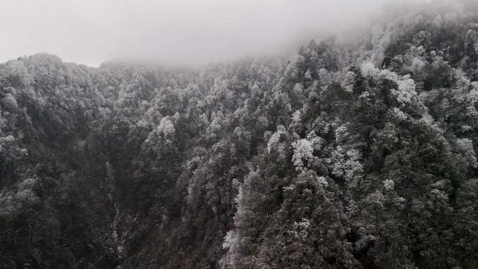 高山雪淞结冰严寒雪景