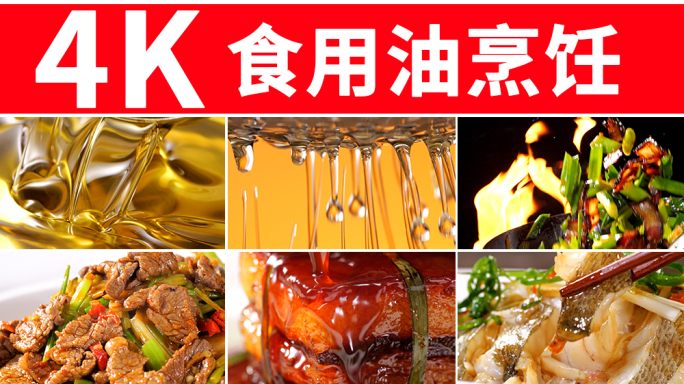 食用油烹饪美食 油