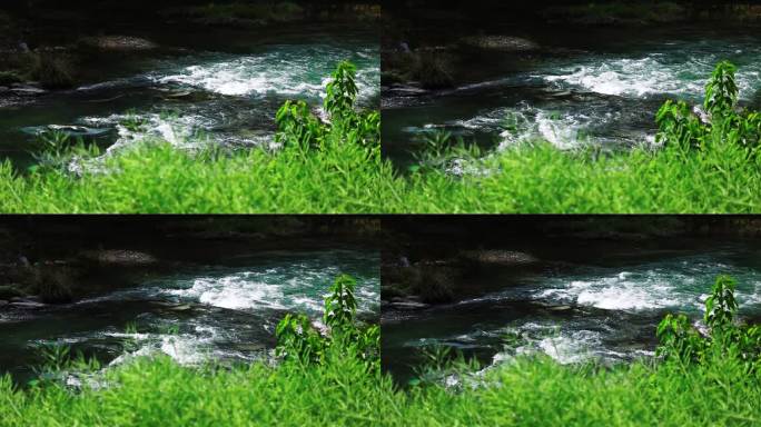实拍4k翠植边溪水潺潺延时