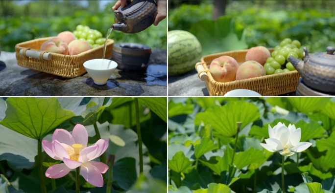 夏至 荷花 水果 夏天 小暑 大暑 节气