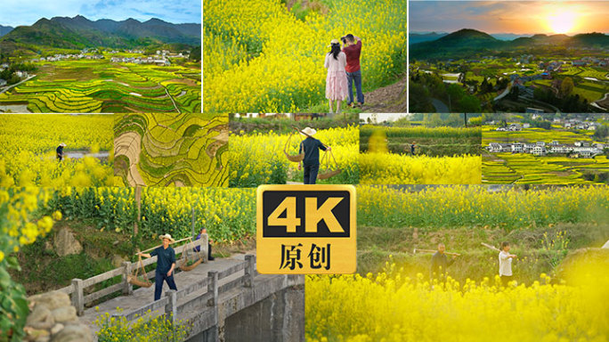 古梯田油菜花海观光旅游农民耕作