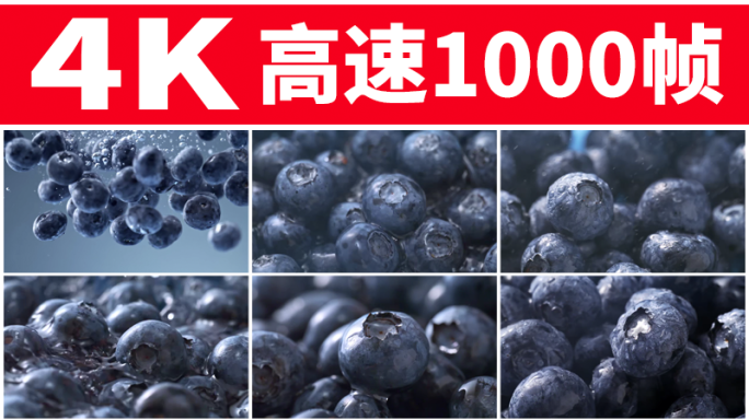 蓝莓4k超清掉入水中落水慢动作