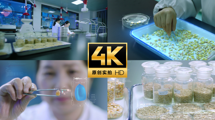 现代农业 智慧农业  粮食安全 玉米种子