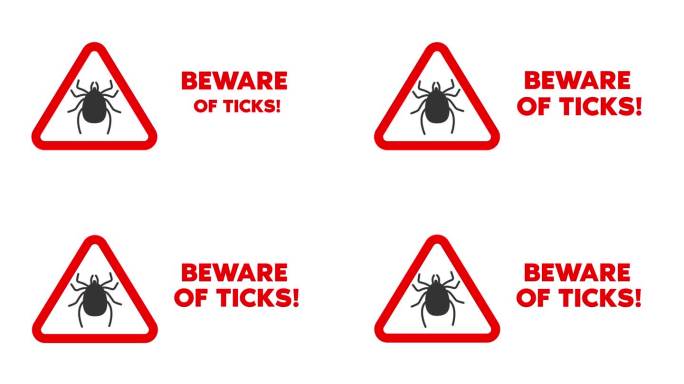 动画小心滴答符号和文本。蜱虫警告标志。