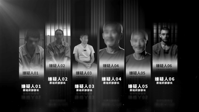 年度反腐犯罪嫌疑人物介绍AE模板