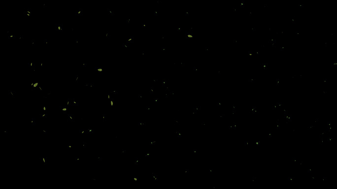 树叶飞舞飘散【无缝循环】