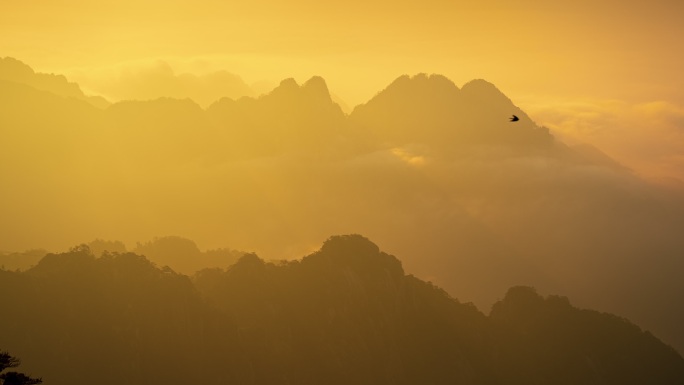 黄山云海 夕阳下的山峰