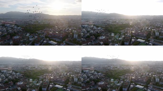 泉州开元寺鸽子飞过