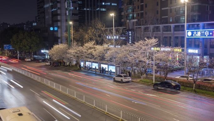 8k延时武汉樱花车站大黄村车流夜景延时