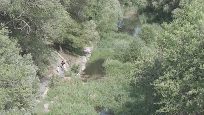 航拍威海市环翠区张村镇张村河水草树木河水