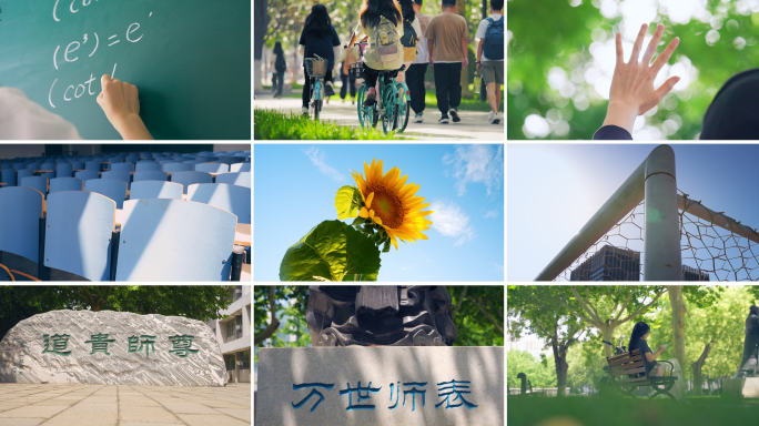 老师学校教师节大学校园