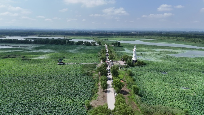 济南章丘白云湖国家湿地