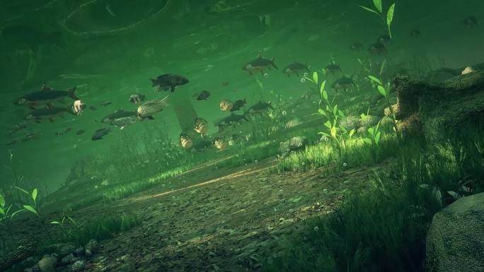 水底生态 淡水鱼 湖底 三维动画