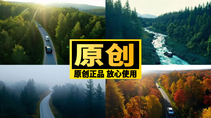 一辆汽车在穿过绿色森林的路上行驶