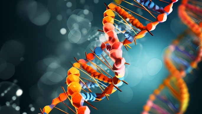 DNA核糖核酸生物医疗科研遗传基因