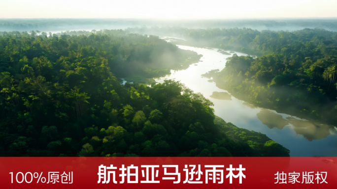 亚马逊雨林航拍