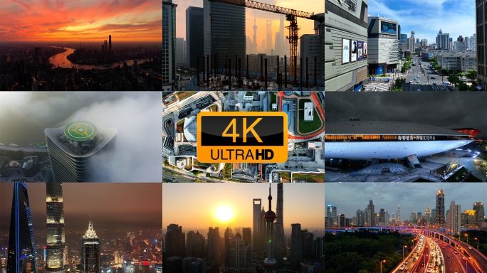 2024上海城市风光合集