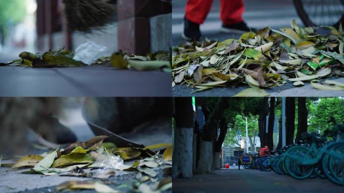 清晨的环卫工人扫落叶