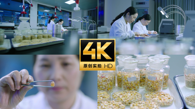 现代农业 智慧农业  粮食安全 玉米种子