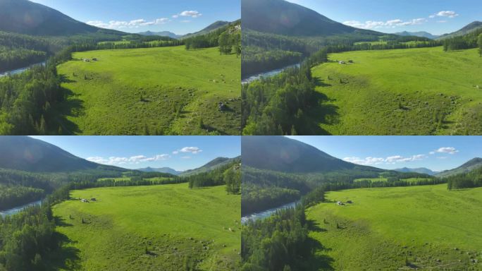 航拍新疆喀纳斯