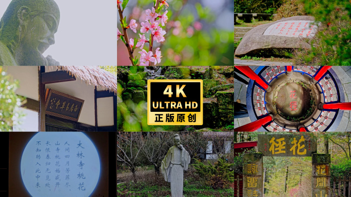 庐山花径白居易草堂大林寺桃花